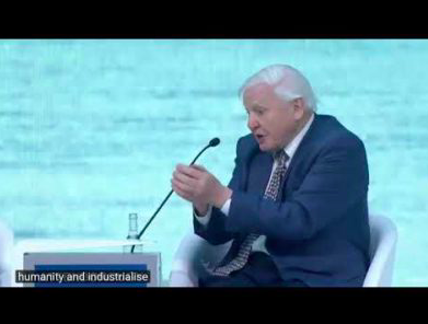 Attenborough - video Optimism Davos 2019